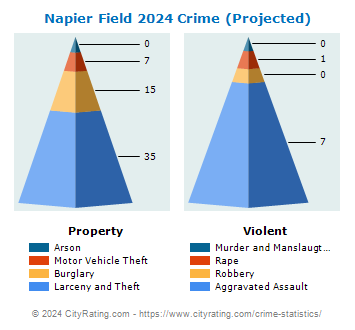 Napier Field Crime 2024