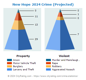 New Hope Crime 2024