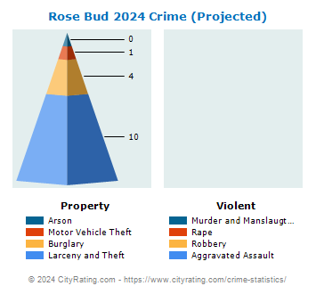 Rose Bud Crime 2024