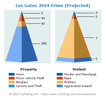 Los Gatos Crime 2024