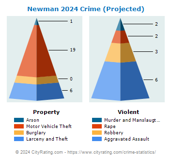 Newman Crime 2024