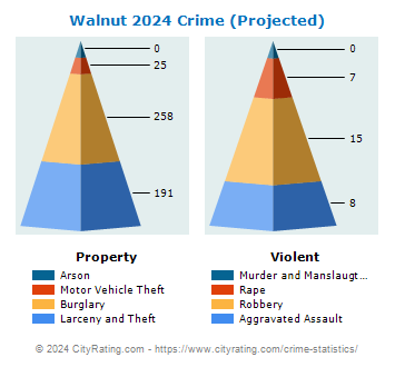 Walnut Crime 2024