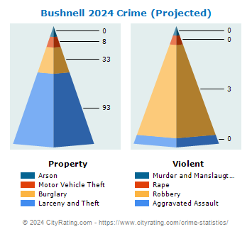 Bushnell Crime 2024