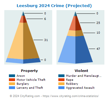 Leesburg Crime 2024