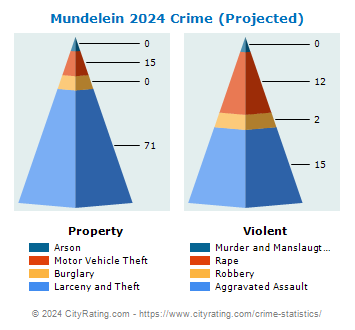 Mundelein Crime 2024
