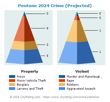 Peotone Crime 2024