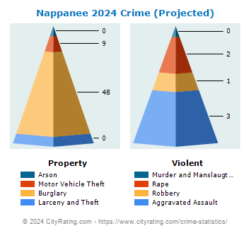 Nappanee Crime 2024