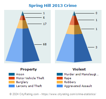 Spring Hill Crime 2013