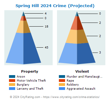 Spring Hill Crime 2024