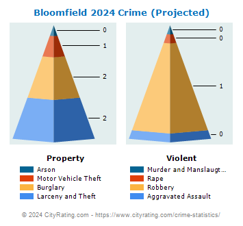 Bloomfield Crime 2024