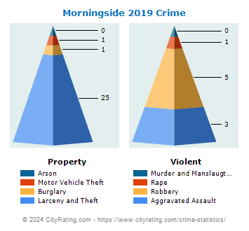 Morningside Crime 2019