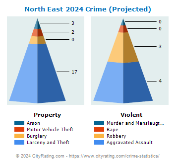 North East Crime 2024