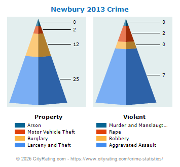 Newbury Crime 2013