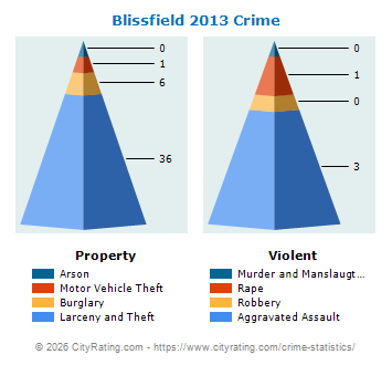 Blissfield Crime 2013