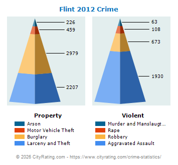 Flint Crime 2012