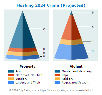 Flushing Township Crime 2024
