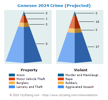 Genesee Township Crime 2024