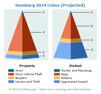 Hamburg Township Crime 2024