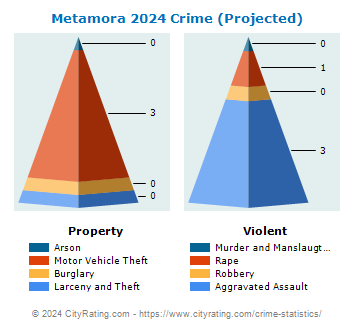 Metamora Township Crime 2024