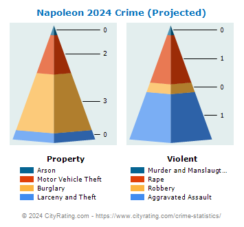 Napoleon Township Crime 2024