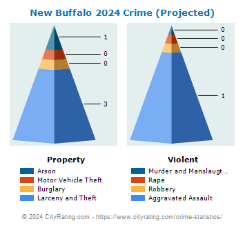New Buffalo Crime 2024