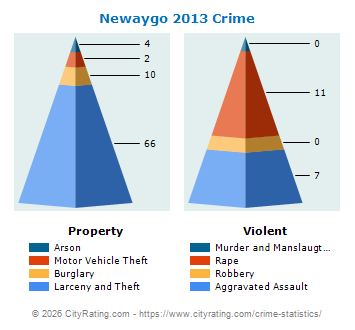 Newaygo Crime 2013