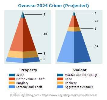 Owosso Crime 2024