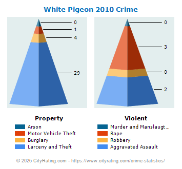 White Pigeon Crime 2010