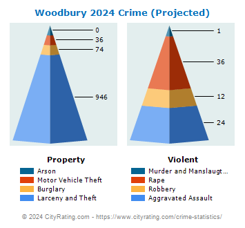 Woodbury Crime 2024