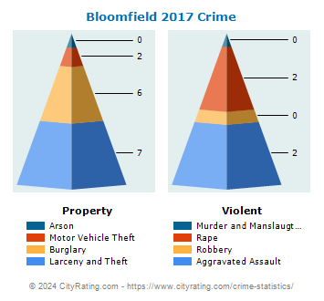 Bloomfield Crime 2017