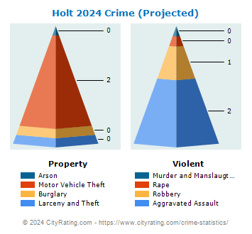 Holt Crime 2024