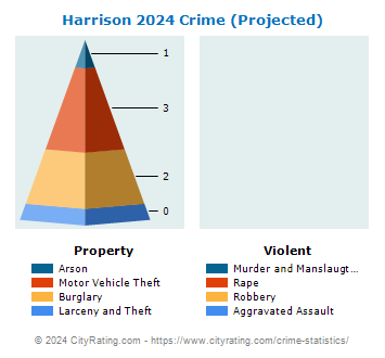 Harrison Township Crime 2024