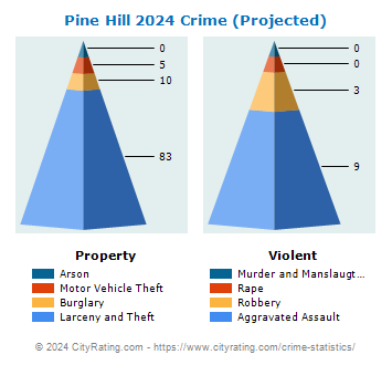 Pine Hill Crime 2024