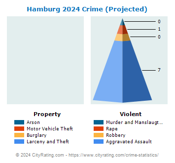 Hamburg Village Crime 2024