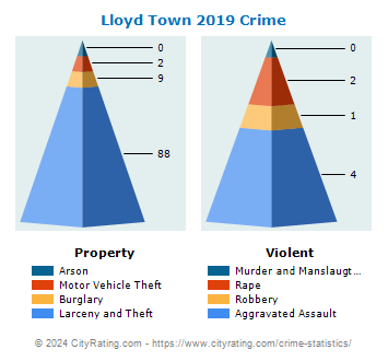 Lloyd Town Crime 2019