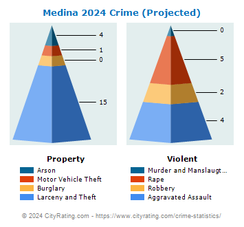 Medina Village Crime 2024