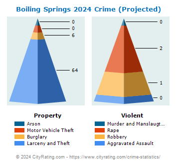 Boiling Springs Crime 2024