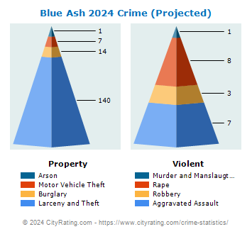 Blue Ash Crime 2024
