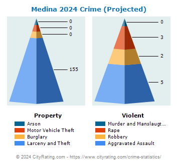 Medina Township Crime 2024