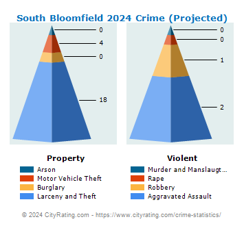South Bloomfield Crime 2024