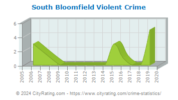 South Bloomfield Violent Crime