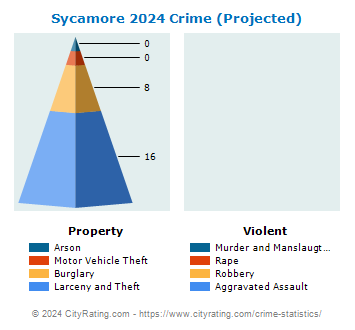 Sycamore Crime 2024