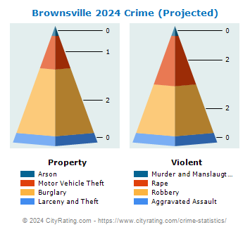 Brownsville Crime 2024