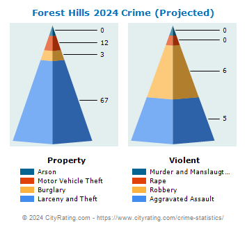 Forest Hills Crime 2024