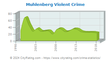 Muhlenberg Township Violent Crime