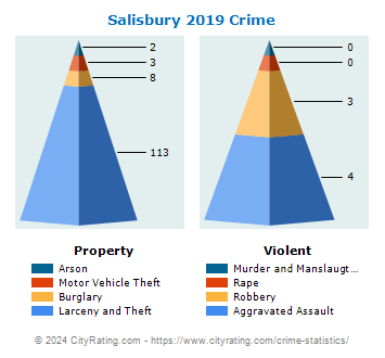 Salisbury Township Crime 2019