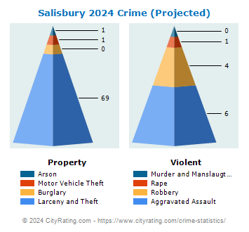 Salisbury Township Crime 2024