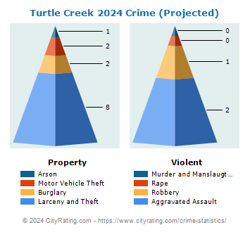 Turtle Creek Crime 2024