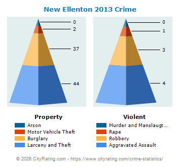 New Ellenton Crime 2013