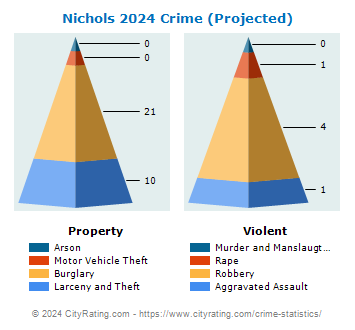 Nichols Crime 2024